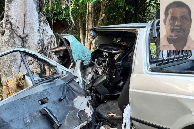 Motorista de 67 morre após carro se chocar com árvore; causas serão apuradas