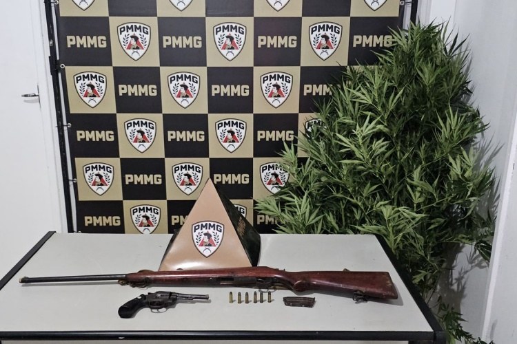 Polícia Militar (PM) localiza 1.000 m² de plantação de maconha e apreende armas