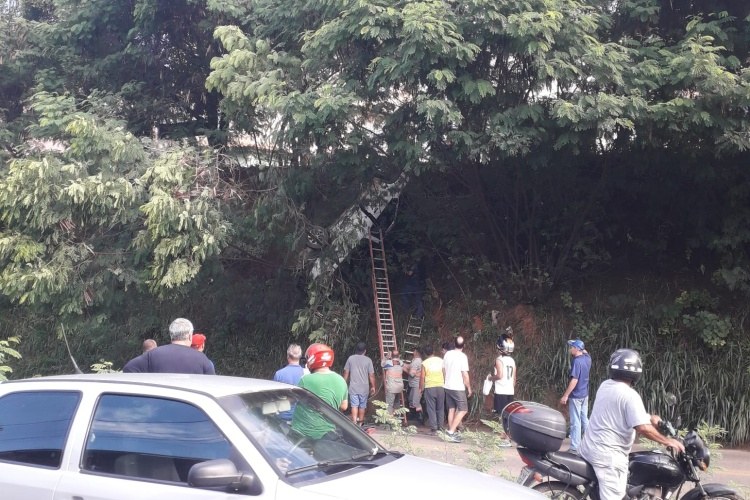 Carro cai em ribanceira após motorista perder o controle; ninguém se feriu